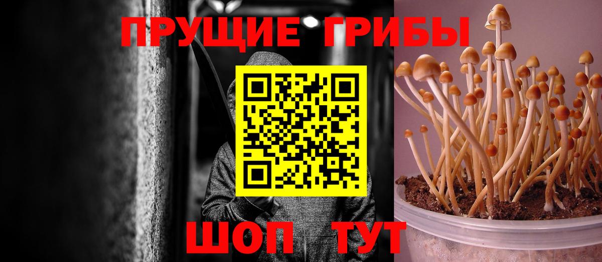 Галлюциногенные грибы прущие грибы Белогорск